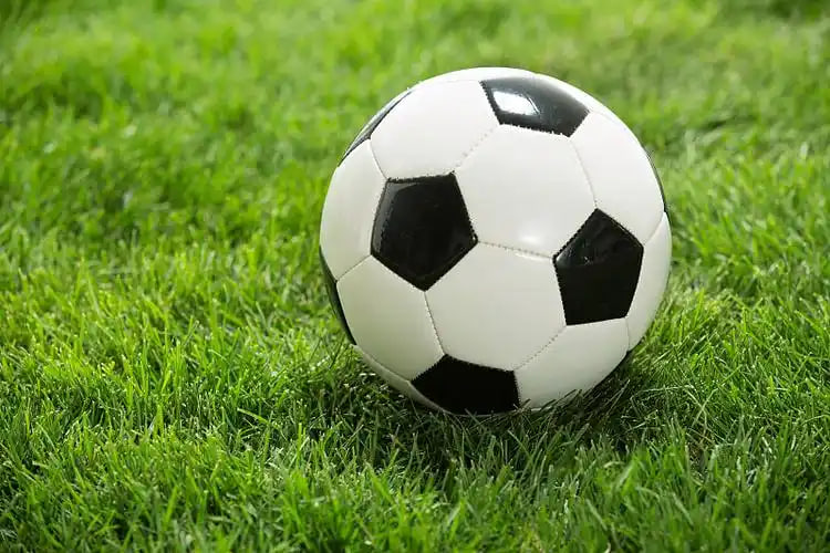 资深玩家深度分析